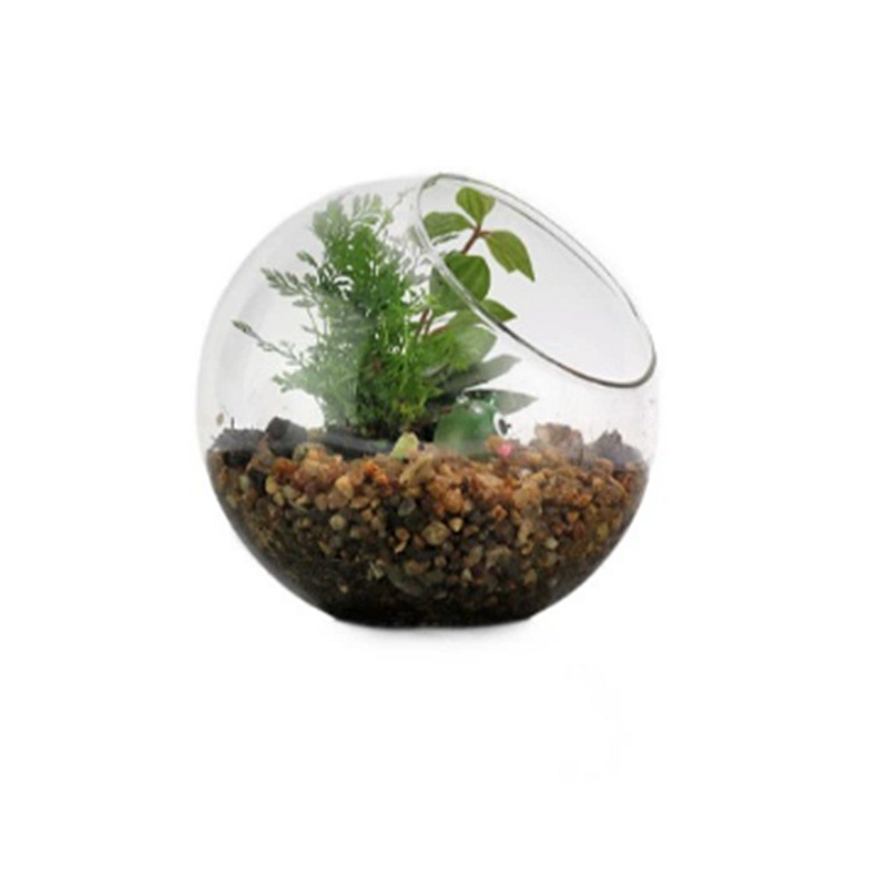 Micro-Landscape Ecological Bottle DIY Plant Landscaping Bottle Transparent Glass Vase Creative Moss Succulent Plant Hanging Bottle