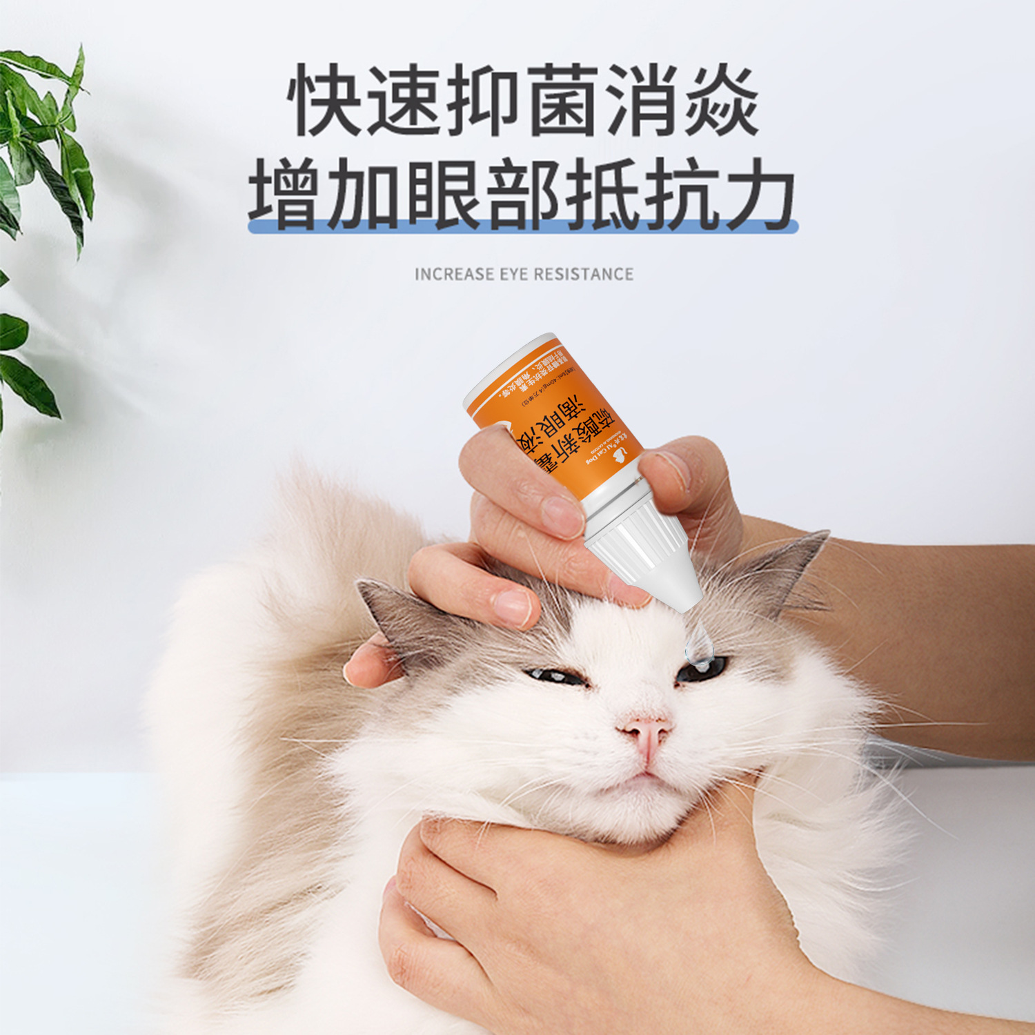 Neomycin Sulfate Eye Drops Cat Eye Drops Dog Eye Cleaning Eye Feces Pet Eye Inflammation Tears