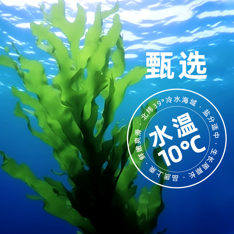 Geshi Dalian Ready-To-Eat Wakame 150G/Bag Seasoned Commercial Seaweed Salad Sea Cabbage Seaweed Sweet and Sour Flavor