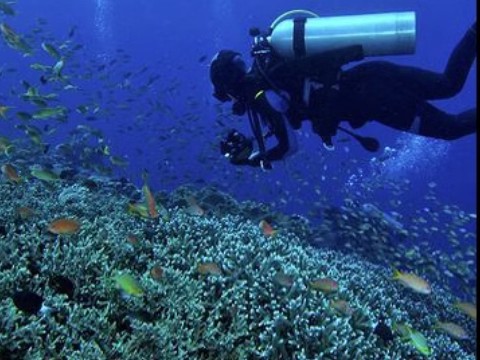 Cross-border Hot Sale v-lite Tactical Helmet Identification Light Belt Velcro Waterproof Survival Light Velcro Gum Light