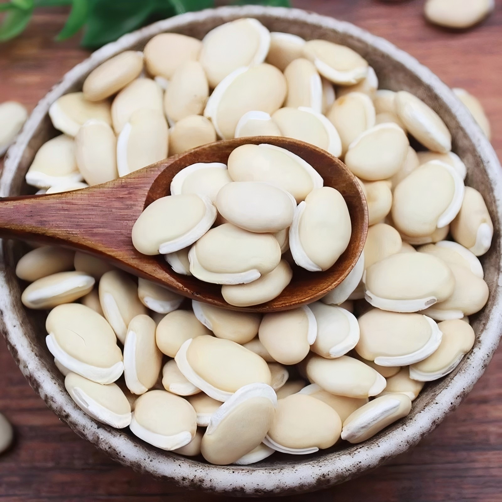 White Lentils 500g, Whole Grains, White Lentil Seeds, Large Lentil Seeds, for Cooking, Soaking in Water, Complete Collection of Chinese Medicinal Herbs, Wholesale and Distribution