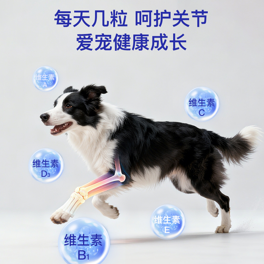 Paisle Cat and Dog Calcium Supplement Shark Cartilage Tablets Pet Nutritional Supplement for Large, Medium and Small Puppies 200 Tablets