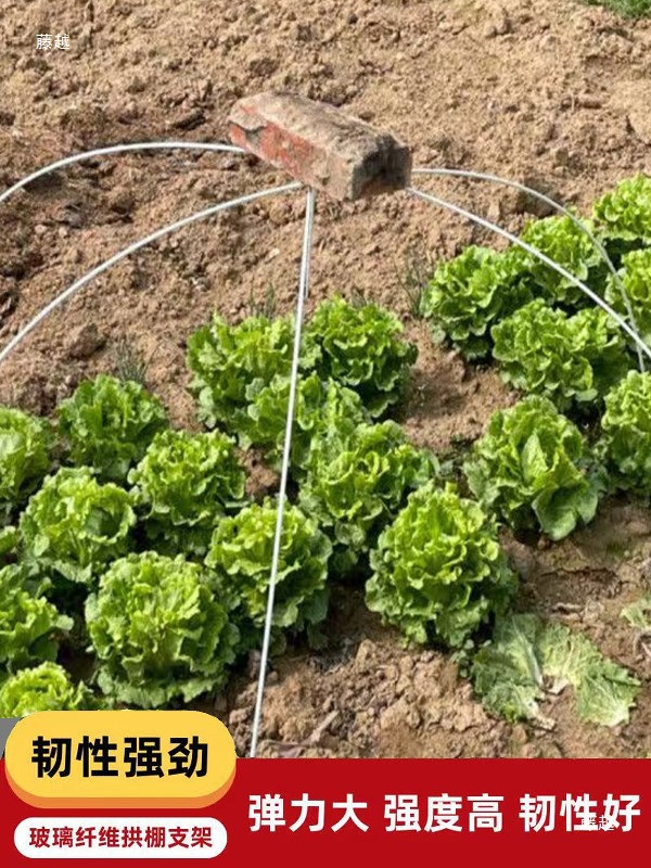 30 Pieces Free Shipping for Seedling Vegetables New Agricultural Small Arch Shed Bracket Greenhouse Frame Manufacturer Wholesale Fiberglass