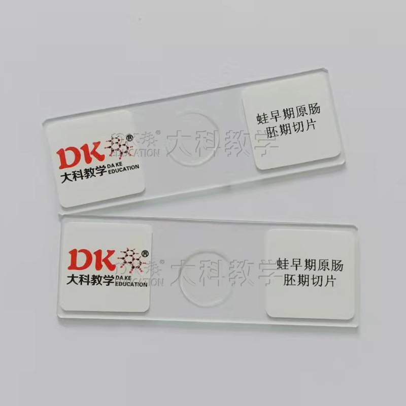 Daye Teaching Frog Original Intestinal Slicing Biological Slide Specimen Primary and Secondary Schools Special Microscope