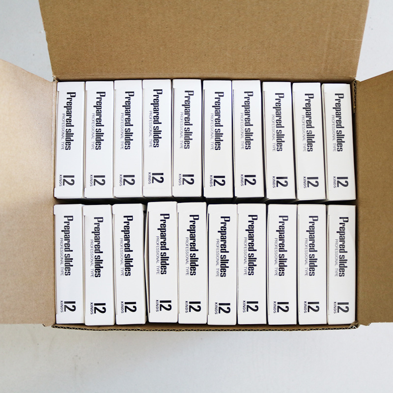 English label microscope accessories insect specimen a box of 12 pieces children's plastic biological specimen slices