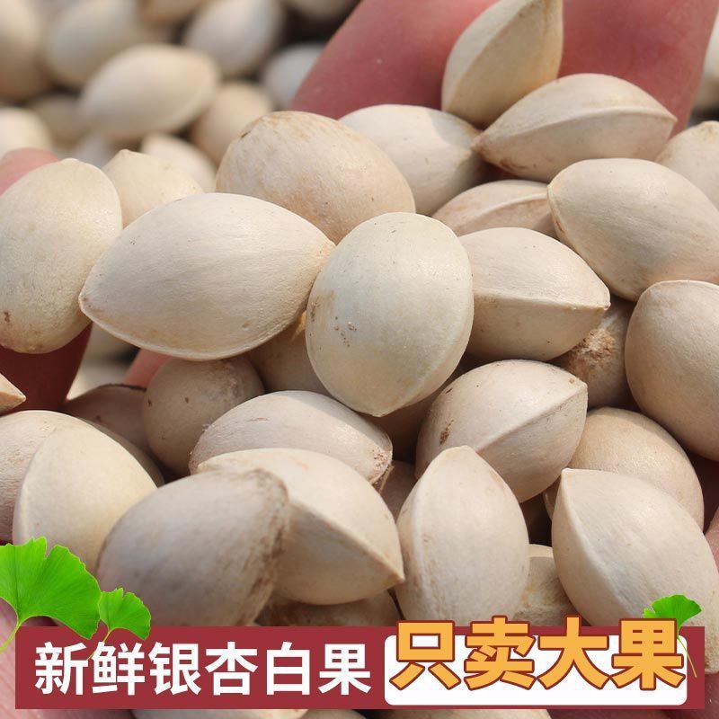 Ginkgo Biloba Chinese Medicinal Materials Genuine Dried Ginkgo Biloba Ginkgo Tree Dried Ginkgo Biloba New Arrival Ginkgo Nuts