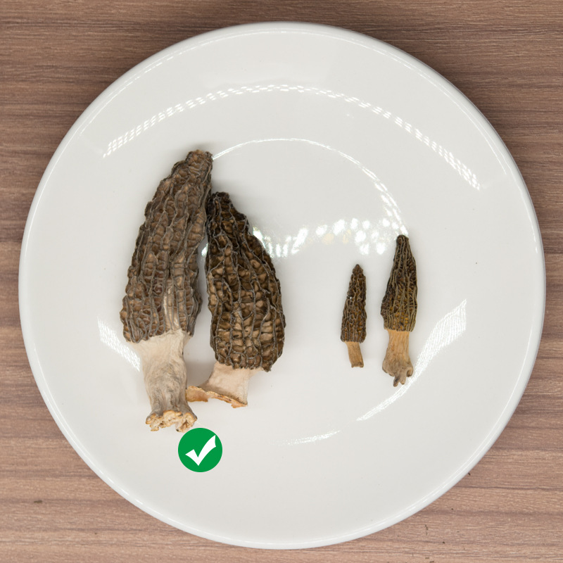 Morel 100g Yunnan Mountain Delicacies Edible Mushrooms Non-Wild Individual Head Full Stew Source Manufacturer Wholesale