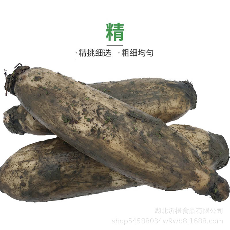 Honghu Pink Lotus Root Soup, Fresh Farm Specialty Vegetables, Glutinous Rice Lotus Root Stew, Nine-Hole Lotus Root, Red Lotus Root, Sf Express