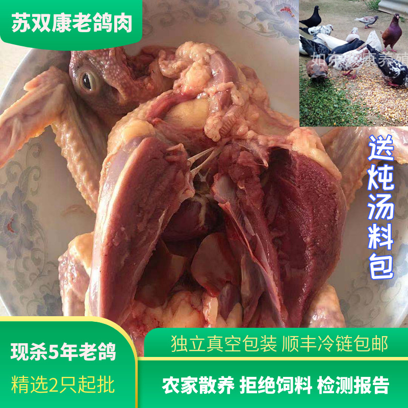 Su Shuangkang ® Old Pigeon Meat Soup, Farm-Raised Freshly Slaughtered Grass Pigeons, 5-Year-Old Large Meat Pigeons, Sf Chilled to Your Home