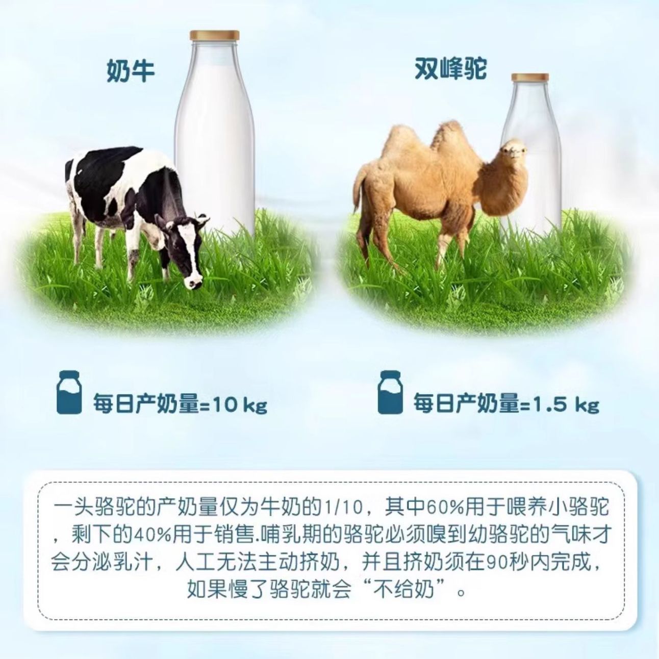 Ren. and Camel Milk Calcium Tablets Official Authentic Kidsren's Calcium Tablets Teenagers Middle-Aged and Elderly Calcium Tablets Candy