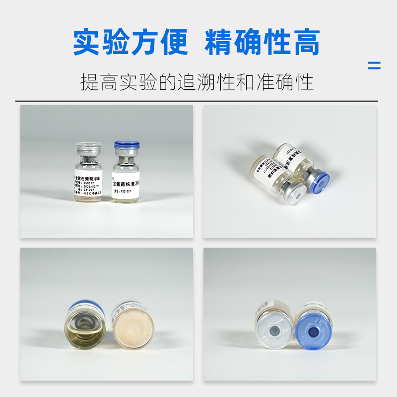 Duofeng Bio Freeze-Dried Quantitative Strain Staphylococcus Aureus Cmcc231227 Free Strain Complex Solution