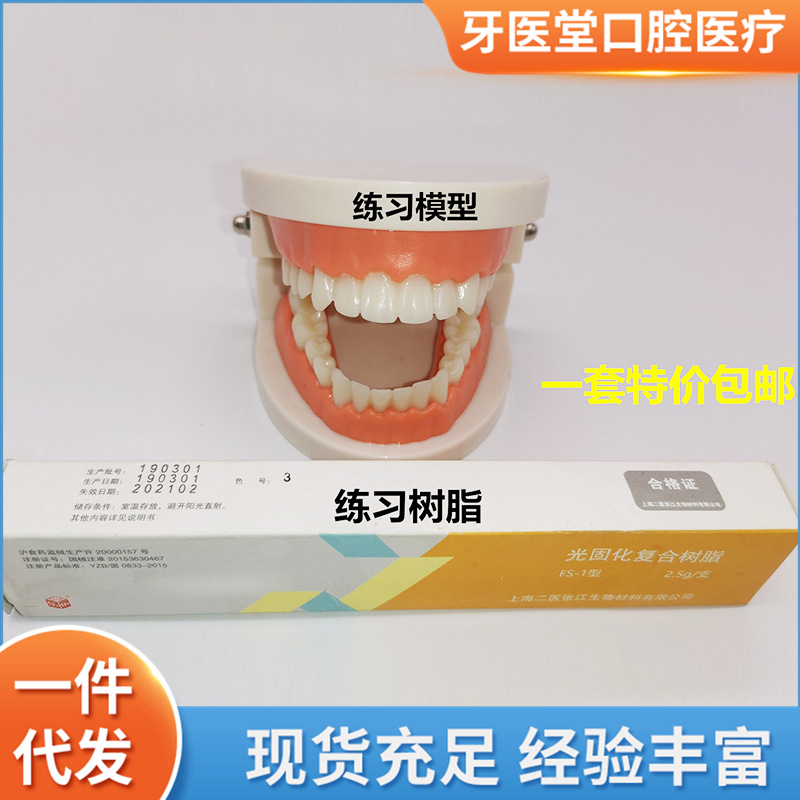 Dental teaching model children's brushing teaching model teeth whitening practice model practice teaching model
