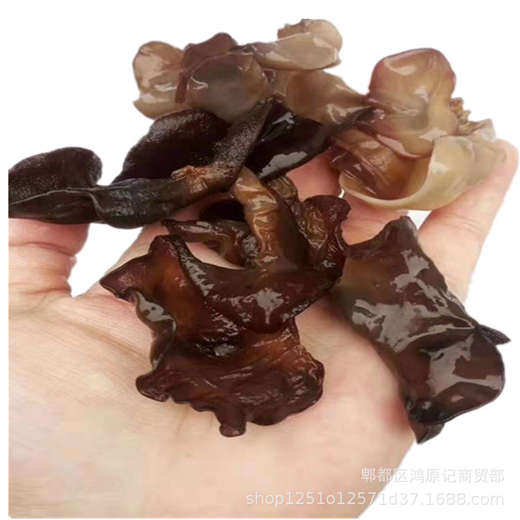 Running a Business in the Market, Selling Dried Fungus from Northeast China, Bulk Dry Goods Wholesale from Manufacturers