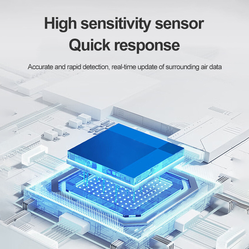 New Carbon Monoxide Detector Gas Detector Air Quality Detector Manufacturer Spot Wholesale