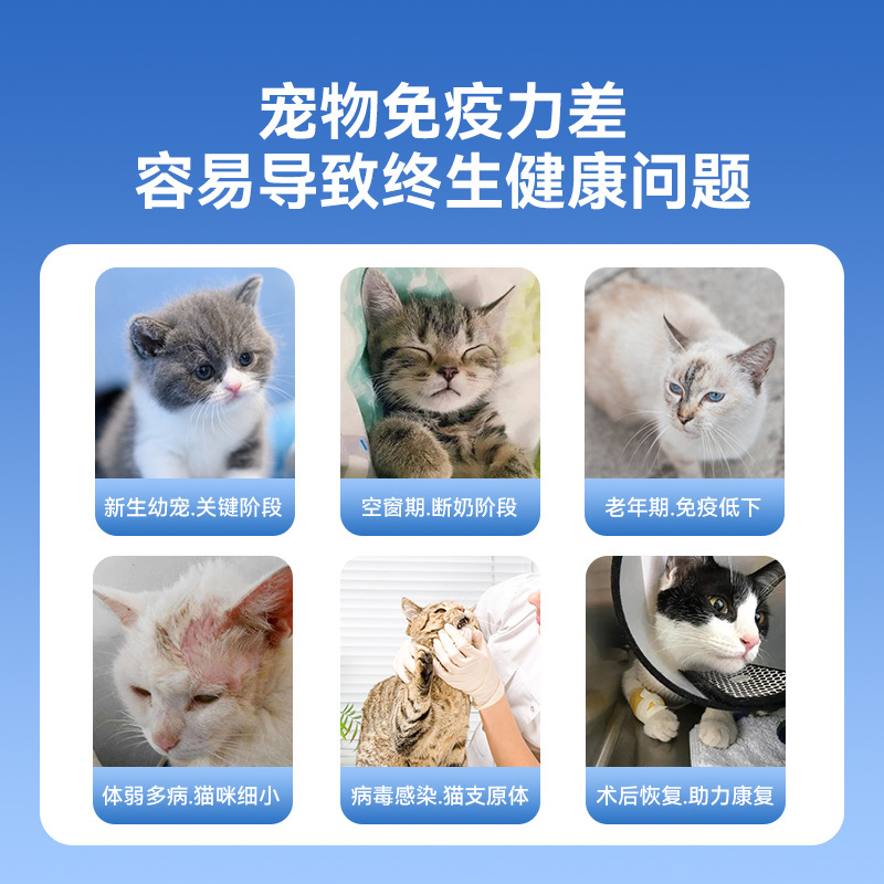 Deep Sea Secret Lactoferrin Capsules Pet Cat Fish Oil Supplement Puppies Puppies Pregnant Dogs Health Care Products