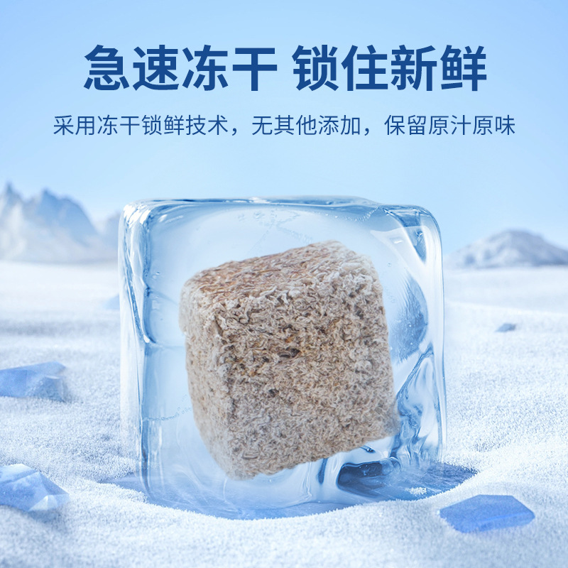 Freeze-Dried Water Earthworm Patch Red Nematode Red Worm Dried Fish Food Hexagonal Dinosaur Paste Fish Food Ornamental Fish Freeze-Dried Feed