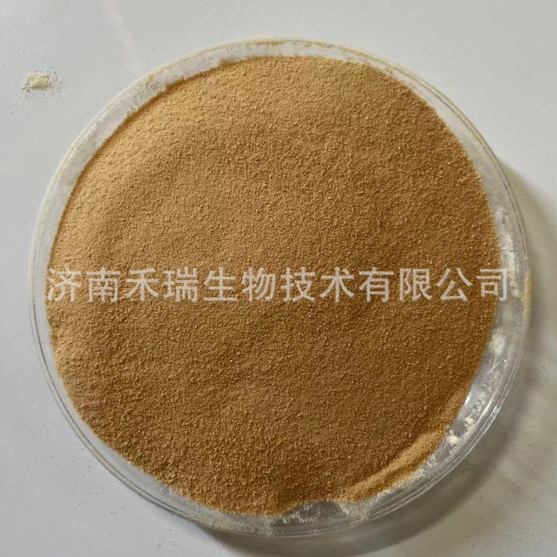 Tryptone Spot Supply Microbial Culture Medium Raw Material Biochemical Reagent Tryptone
