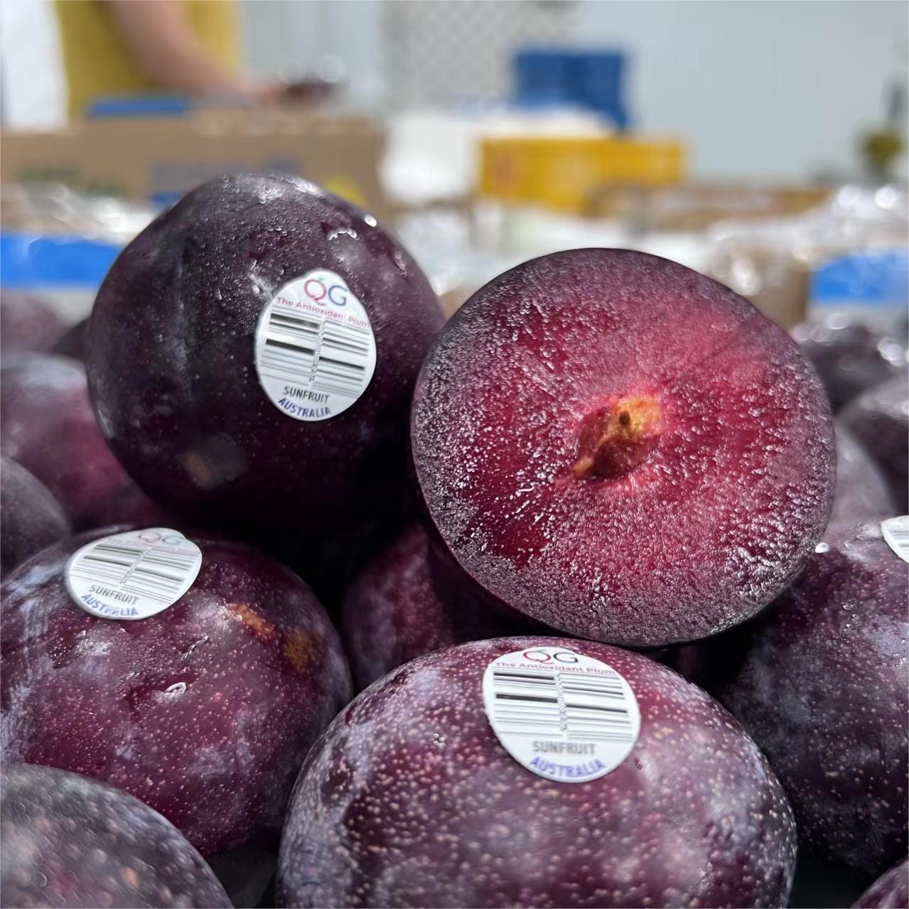 Spot Chilean Cherry Plums in Season for Pregnant Women Pure Sweet Plum Anthocyanins Sf/Jingdong Full Box