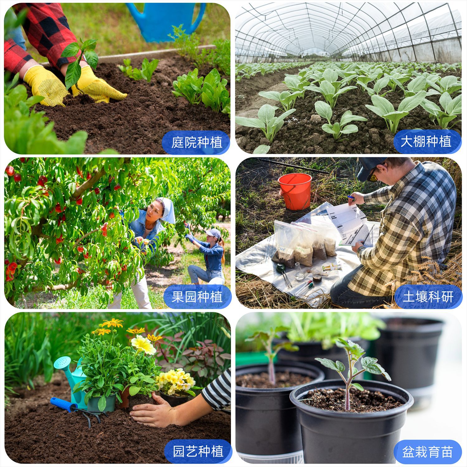 Directly Supplied from the Manufacturer, Ph Value Soil Moisture Detector, Fertility, Acidity and Alkalinity Flower Pot Tester, Three-In-One Moisture Meter