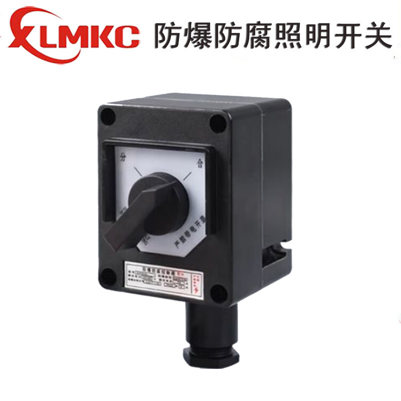 Zhejiang Xinliming Environmental Protection Bzm8050 Explosion-Proof and Anti-Corrosion Lighting Switch 16A Explosion-Proof Switch Zxf8030