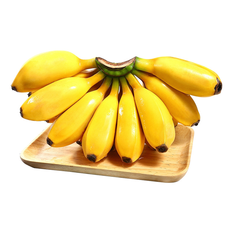 Guangxi Xiaomi Banana Delivery 3/ 4.5kg Sweet Glutinous Small Bananas, Not Tianbao Bananas, Naturally Ripe Seasonal Fruit, Direct Delivery from Guangxi