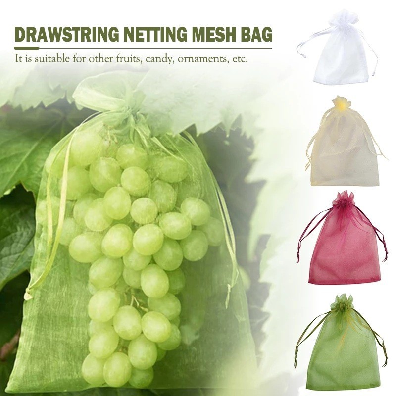 Cross-Border Mesh Bag Fruit Insect-Proof Bag Anti-Bird Bag Gauze Mesh Bag Reusable Tomato Eggplant Grape Apple