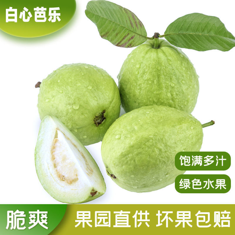 Guava Taiwan Pearl Guava with Sour Plum Powder, Low-Sweetness Crisp Hard Guava for Pregnant Women, Family Pack, Freshly Picked