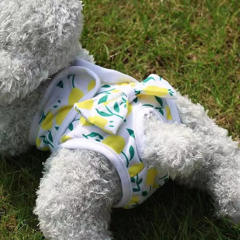 Dog physiological pants puppy anti-harassment peace of mind pants Teddy female dog menstrual diaper sanitary pants pet holiday pants