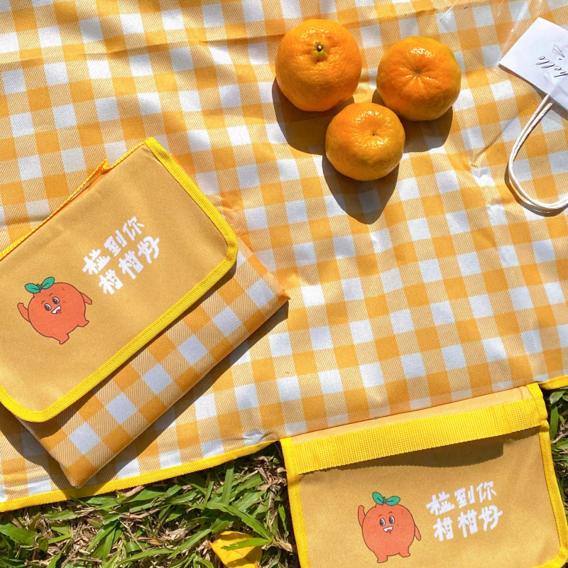 Outdoor camping waterproof floor mat portable moisture-proof mat large folding PVC picnic mat thickened picnic blanket custom