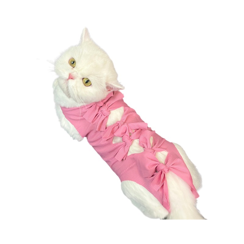 Pet cat sterilization after surgery medication weaning breathable physiological pants anti-licking harassment clothes cat supplies wholesale