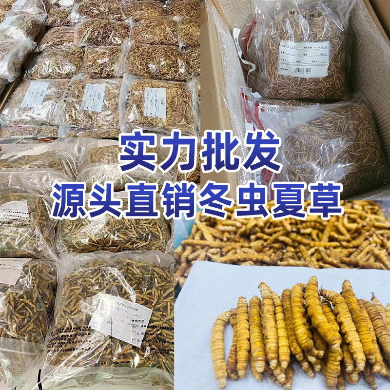 Cordyceps sinensis Cordyceps sinensis whole grass freeze-dried Cordyceps sinensis broken grass broken Cordyceps sinensis wholesale a large number of hands and feet dry New goods