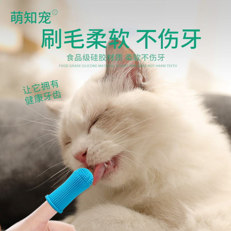 Amazon explosions silicone pet toothbrush factory in stock wholesale dog cat finger brush set