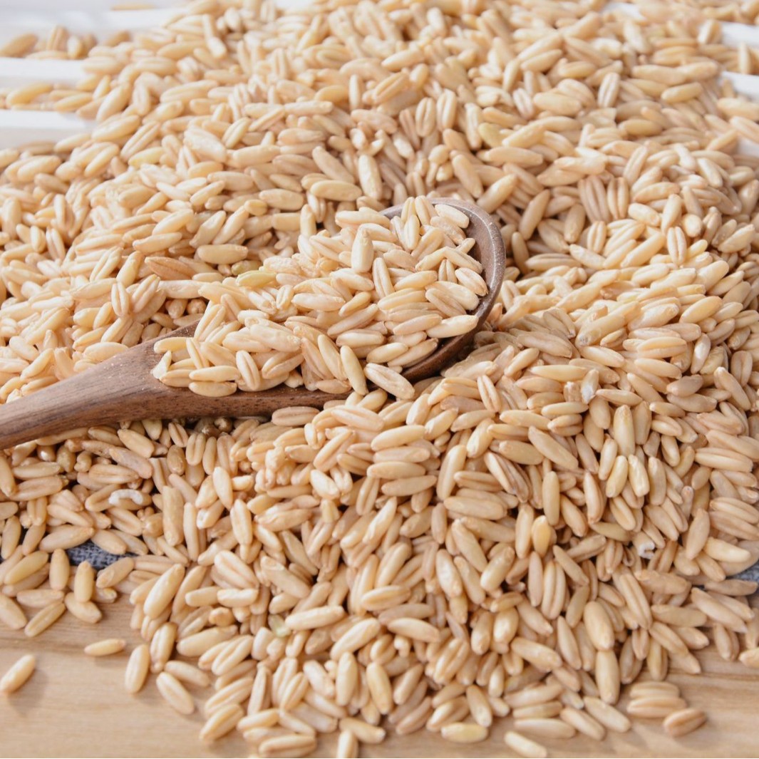 New rice oat rice oat kernel oat grain grain porridge coarse grains rice factory wholesale bulk vacuum oat