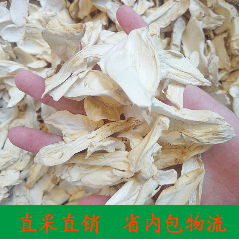 Сушеные таблетки гриба Pleurotus eryngii, 500г, оптовая продажа мелких кусочков сушеных грибов устриц