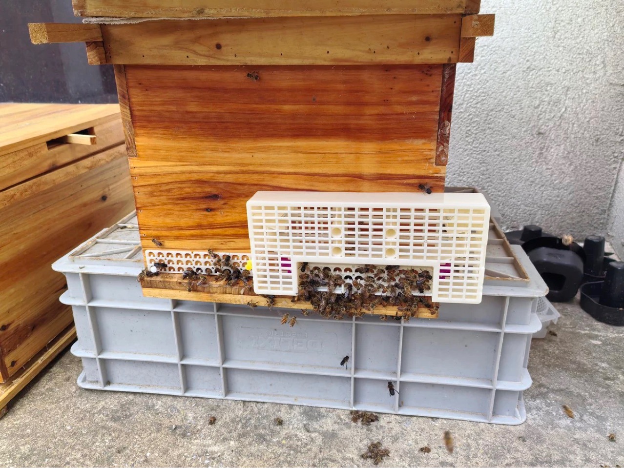 New Eighth-Generation Top-Grade No. 8 Bee Divider, Medium Bee Automatic Bee Divider, Drone Bee Filter Artifact, Round Barrel Third-Generation Bee Divider