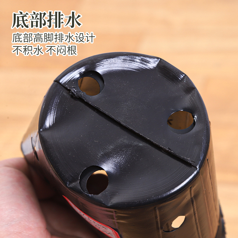 Phalaenopsis Thickened Transparent Nutrient Bowl Seedling Pot Seedling Cup Drainage Breathable Transparent Disposable Flower Pot