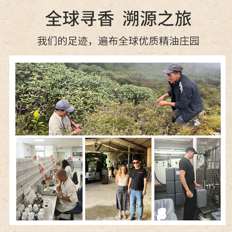 Cold-Pressed Sweet Almond Oil Base Oil Cosmetic Grade Beauty Salon Meridian Massage Body Massage Oil Raw Materials Wholesale