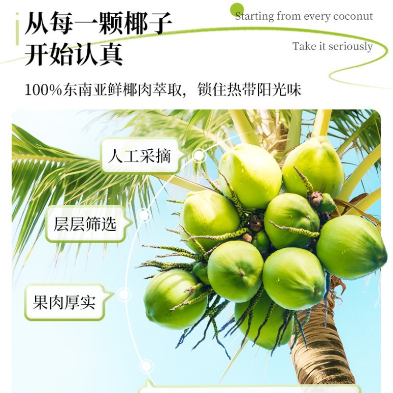 Nanguo Strong-Flavor Instant Coconut Powder Pure Coconut Powder Breakfast Meal Replacement Multi-Specification Raw Material Milk Tea Shop Hainan Specialty