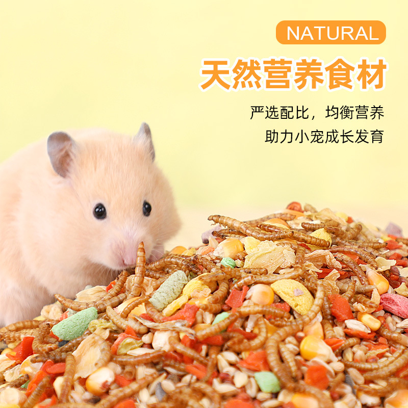 Hamster Food Feed, Rat Food Snacks, Staple Food, Rat Food Nutrition, Golden Bear Flower Branch Rat Food, Pet Luxury Food