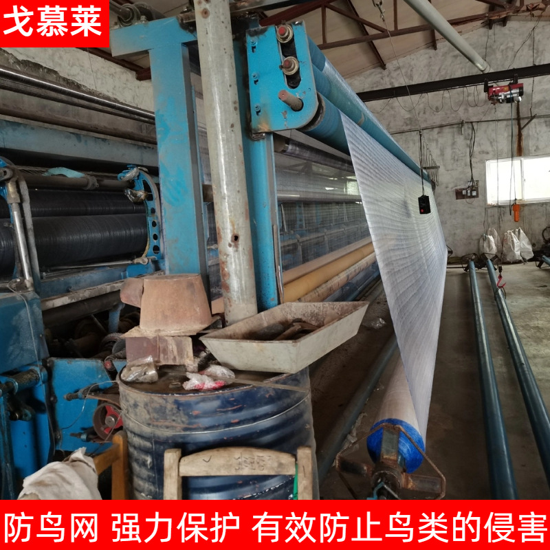 Orchard Anti-Bird Net, Farmland Pond Sky Net, Cherry Courtyard Green Plant Protection Net, Nylon Fishing Net