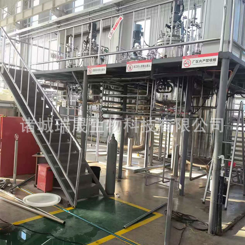 Fully Automatic Biological Fermentation System Stainless Steel Fermentation Tank Equipment Ruisheng Machinery Bacillus Licheniformis Fermentation