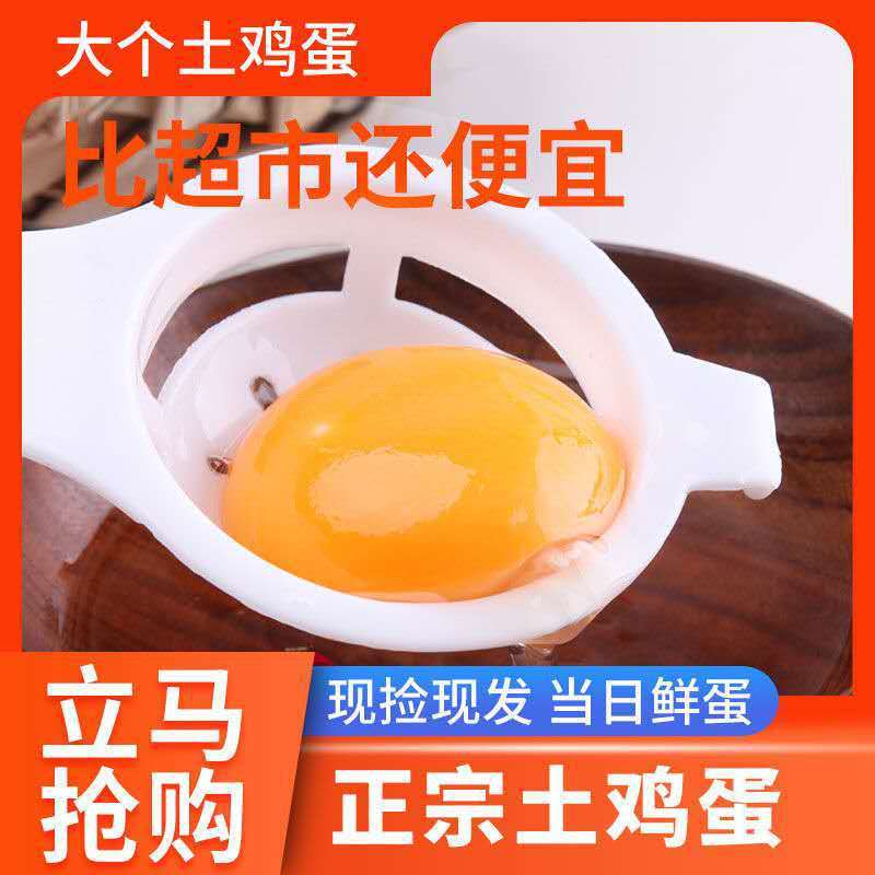 【Morning Fresh】Fresh Farm-Raised Free-Range Eggs, Free-Range Eggs, Native Eggs, Grass-Fed Eggs, Ecological Grass-Fed Eggs