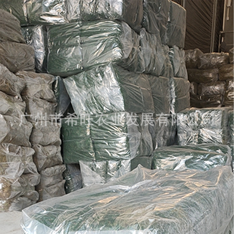 Bonsai Micro-View Flower Pot Paving Moss Xwang Green Moss Turf Moss Plant Green Dry Moss