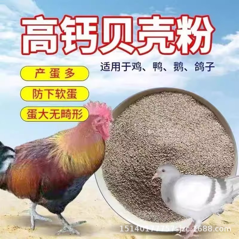 High calcium oyster shell powder anti-pecking egg calcium bone feeding chicken duck goose pigeon rutin animal husbandry special additive feed