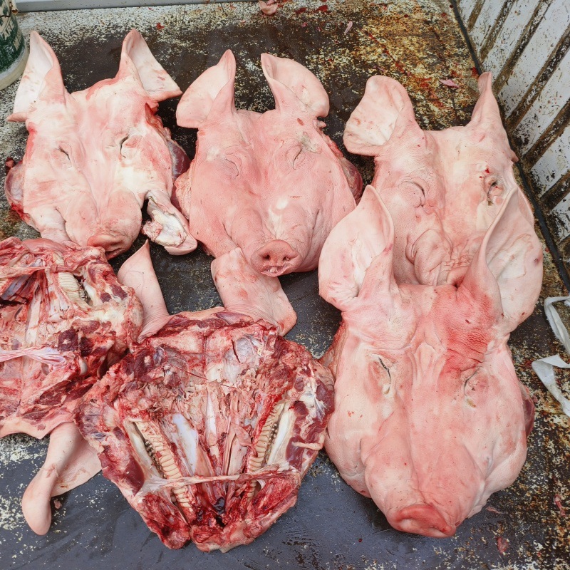 Fresh Pig Face New Year Dish, Pig Head Paste, Cured Goods, Frozen Pig Head, Shaoxing Whole Pig Head with Ears Removed, Wholesale
