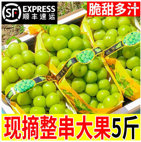 Виноград Солнечная Роза Циньван свежий сезонный фрукт