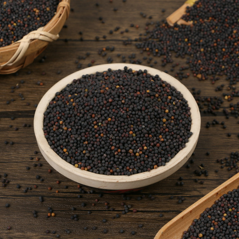 семена рапса для корма птиц, экстракция масла