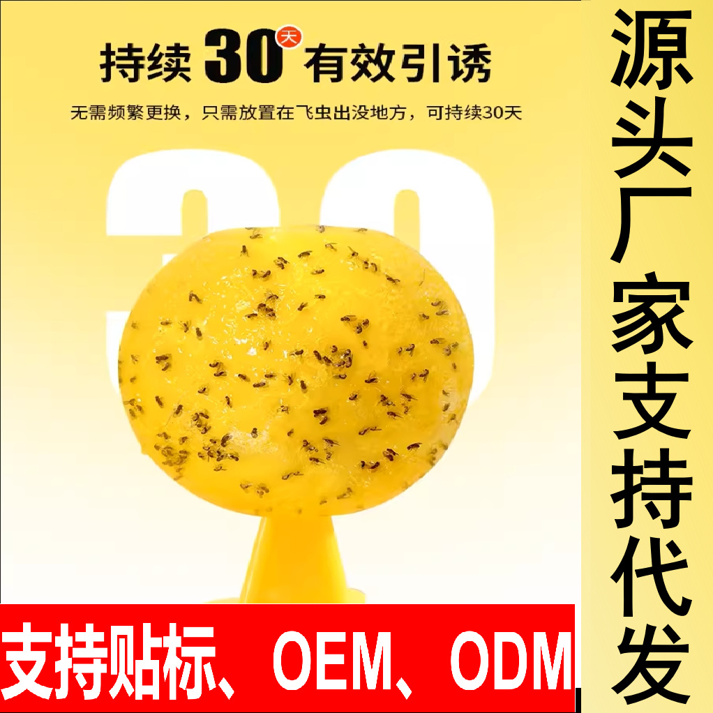 Ловушка для мух, домашняя, не токсичная