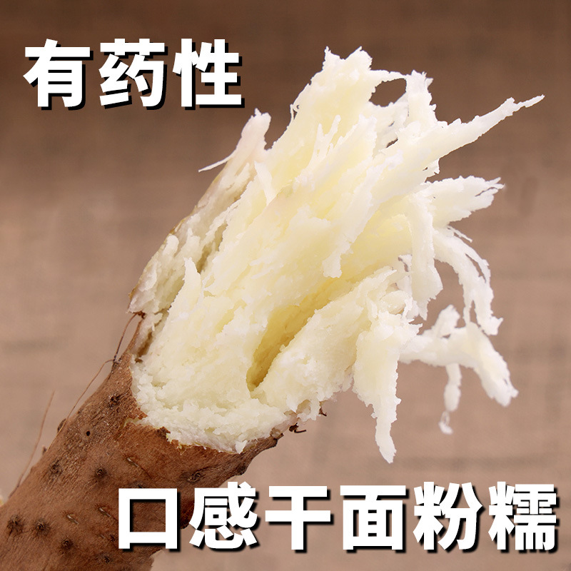 [Sf Express] Henan Jiaozuo Wenxian Soil Iron Bar Yam 5kg 5kg Authentic Iron Gui Huaishan Fresh Specialty