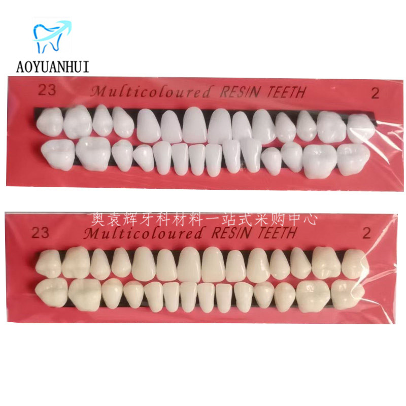 28 Student Practice Teeth Plastic Teeth Dental Oral Materials Teaching Mold with Dentures